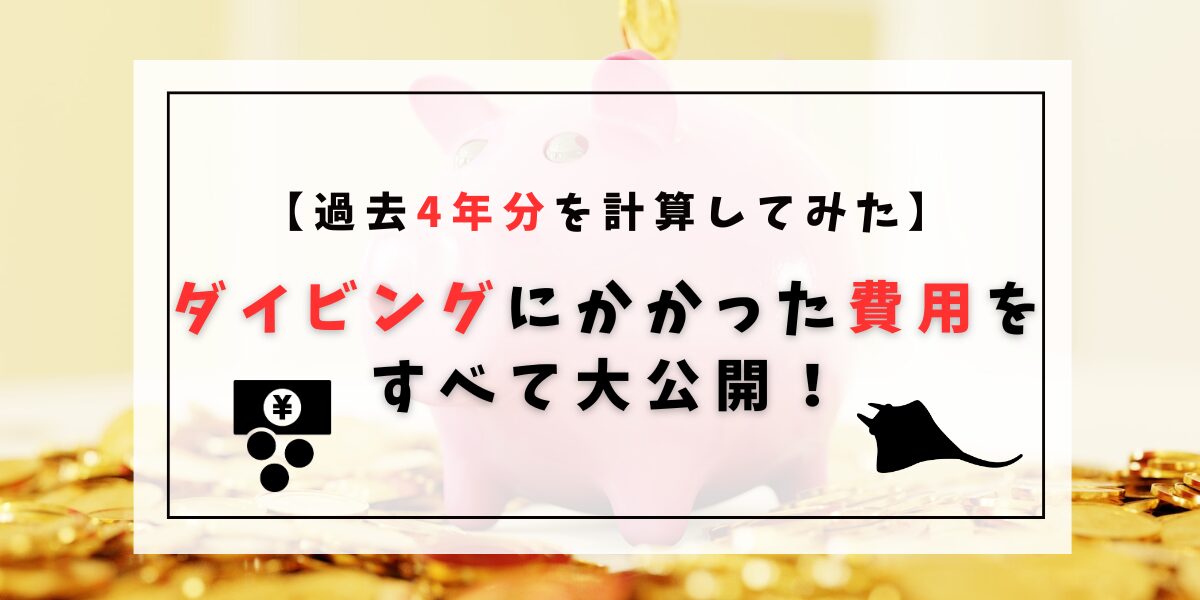 【過去4年分】ダイビングにかかった費用をすべて大公開します