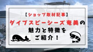 ダイブスピーシーズ奄美の魅力と特徴をご紹介【ショップ取材記事】