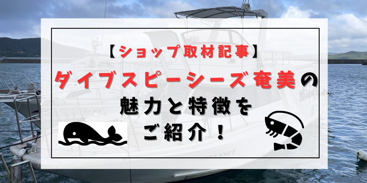 ダイブスピーシーズ奄美の魅力と特徴をご紹介【ショップ取材記事】