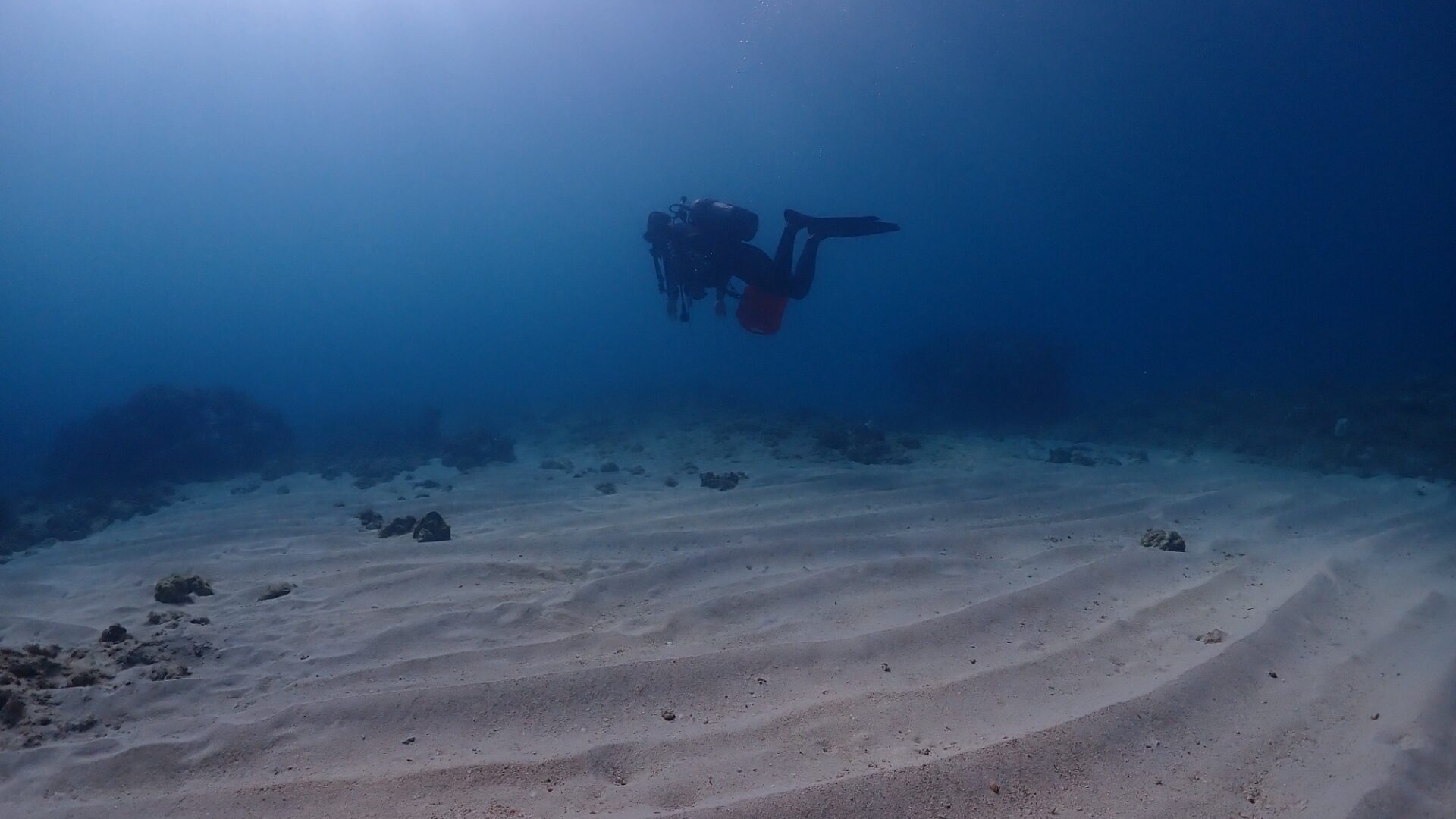 砂浜エリア