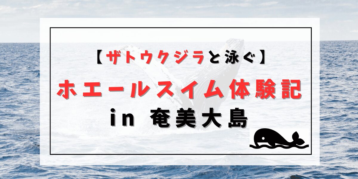 【ザトウクジラと泳ぐ】ホエールスイム体験記 in 奄美大島